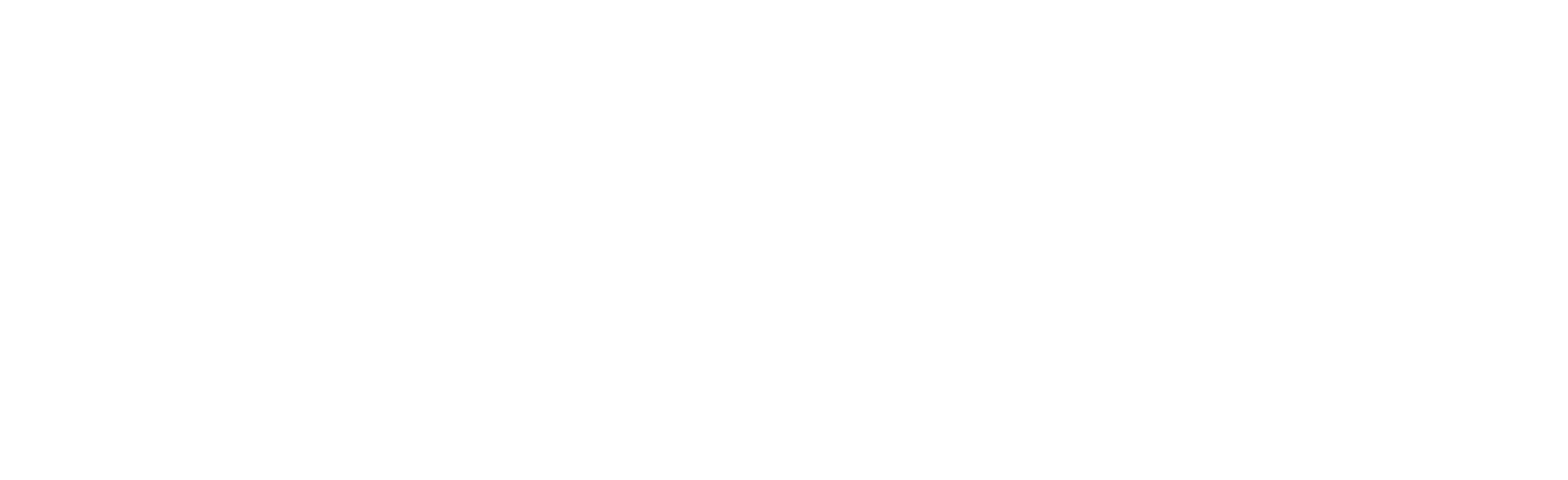 PP_logo_full_blanc_horizontal (1) PP_logo_full_blanc_horizontal (1)
